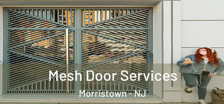 Mesh Door Services Morristown - NJ